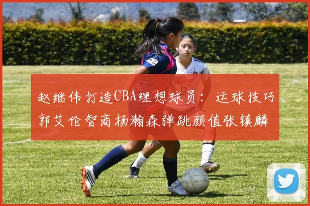赵继伟打造CBA理想球员：运球技巧郭艾伦智商杨瀚森弹跳颜值张镇麟完美结合