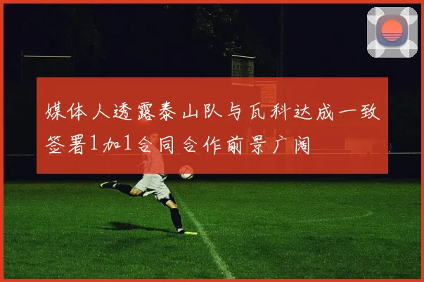 媒体人透露泰山队与瓦科达成一致签署1加1合同合作前景广阔